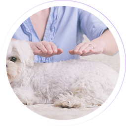curso-de-reiki